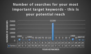 Website audits and onsite investigations